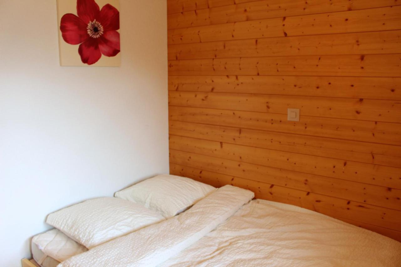 Chalet Amos Villa Grimentz Kültér fotó