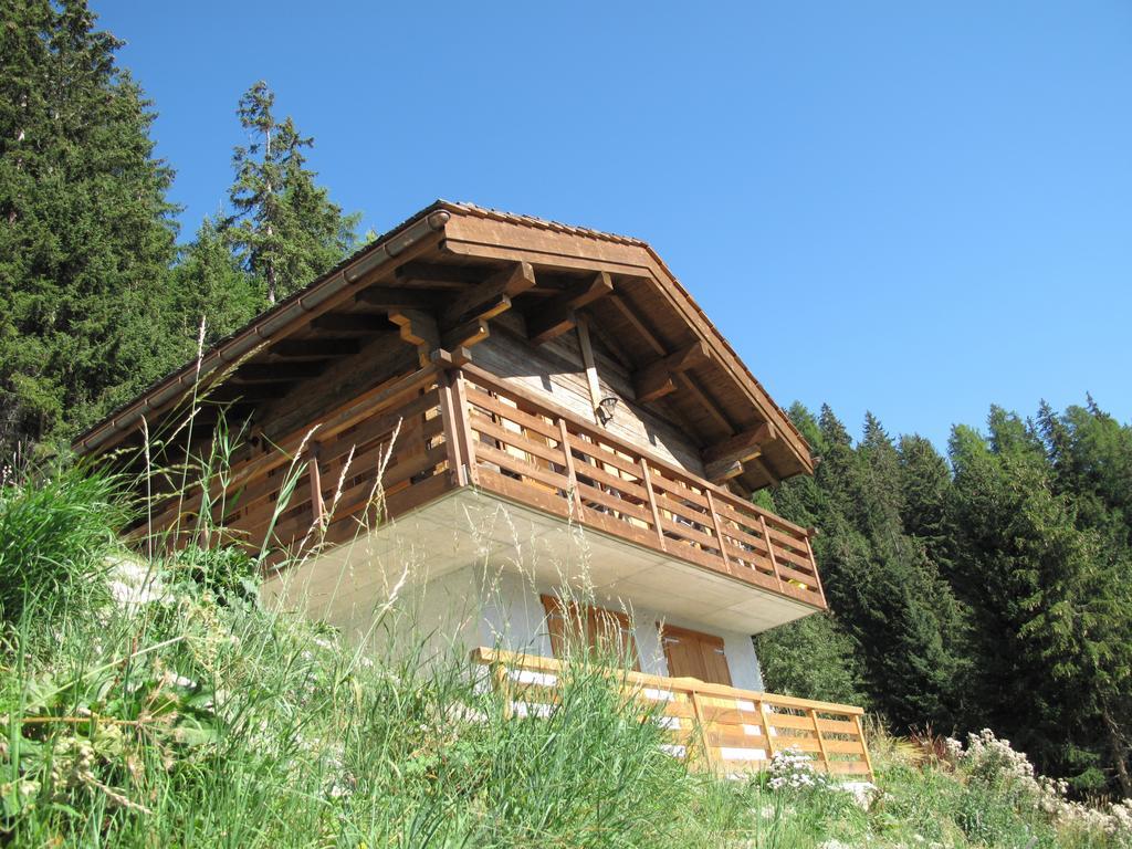 Chalet Amos Villa Grimentz Kültér fotó